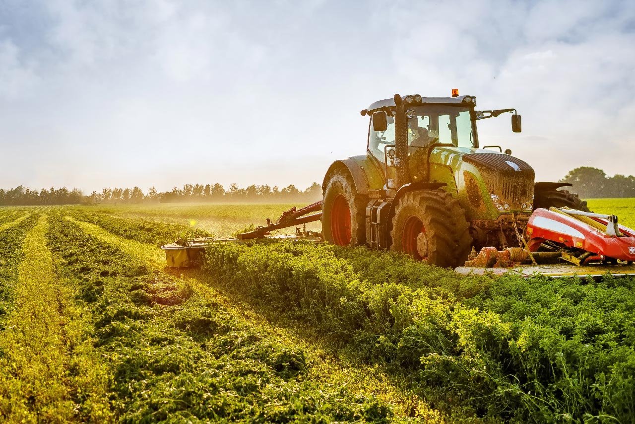 Rural Infrastructure for Great Agriculture